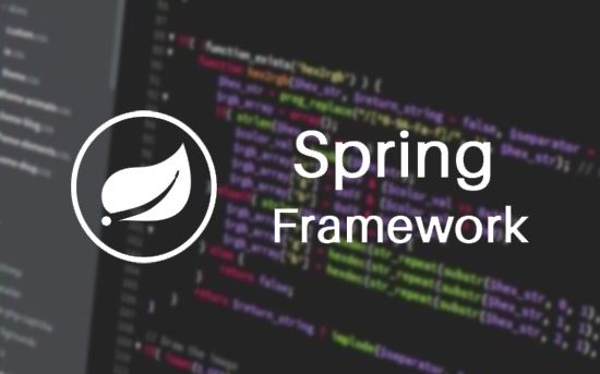 Spring developer