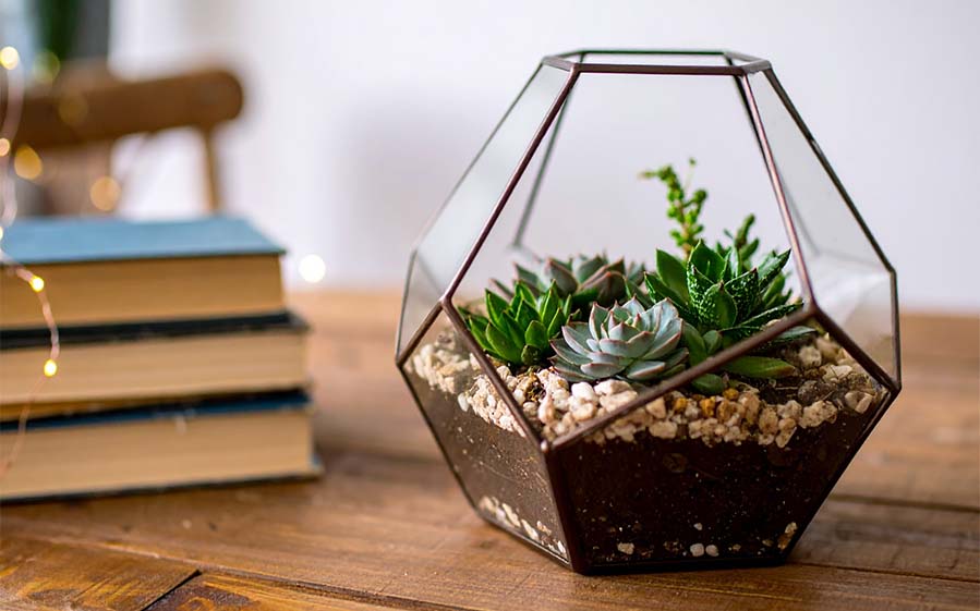 Vanocni_darky_2025_foto_3