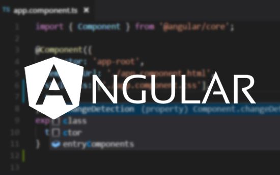 Angular developer